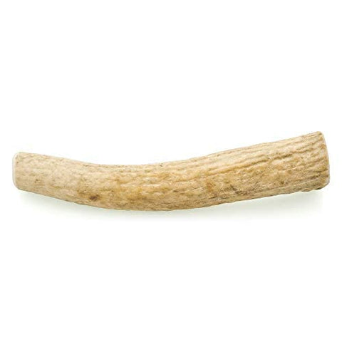 Barkworthies Hand Selected Naturally Shed Medium Whole Elk Antler (Single Antler) - Long Lasting, Odor Free Dog Chew for Medium Sized Dogs - No Chemical Treatments, No Added Preservatives