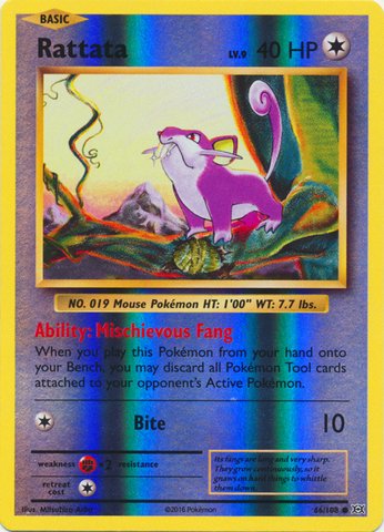 Pokemon - Rattata (66/108) - XY Evolutions - Reverse Holo