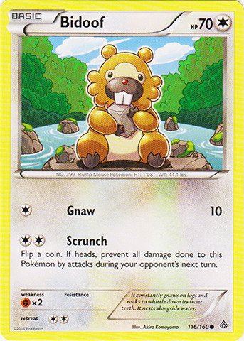 Pokemon - Bidoof (116/160) - XY Primal Clash