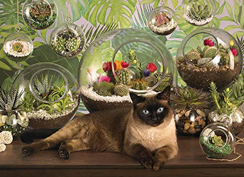 Cobblehill 80049 1000 pc Terrarium Cat Puzzle, Various