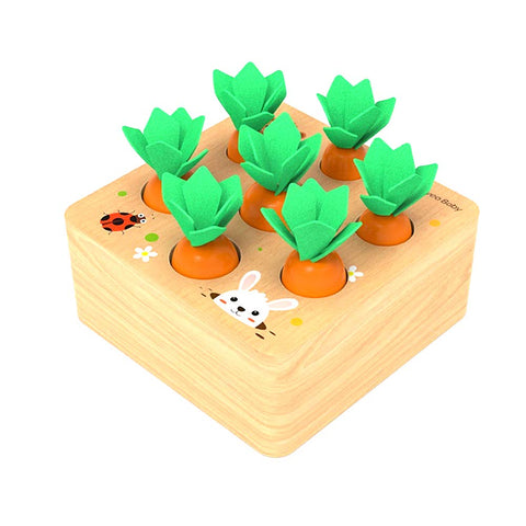 Felly Wooden Toys for 1 Year Olds Toddler Fine Motor Skill Toy Montessori Plugging Toys Carrots Harvest Matching Game Early Learning Preschool Educational Gifts Toy for 2 3 4 Years Old Kids