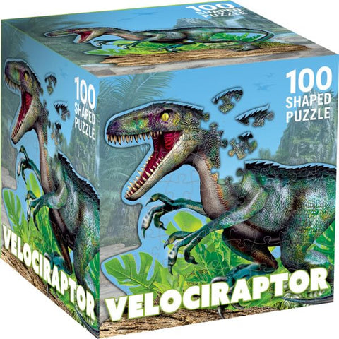 Raptor 100 pc