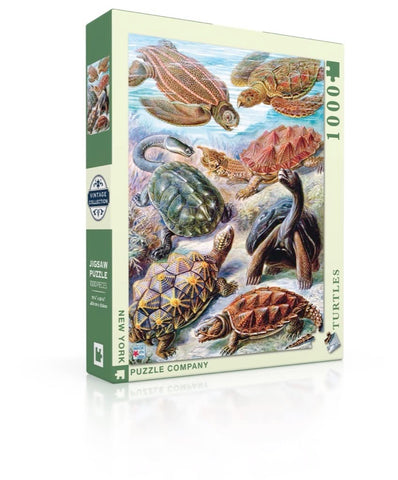 New York Puzzle Company - Vintage Images Turtles - 1000 Random Cut Jigsaw Puzzle for Adults by Ernst Haeckel