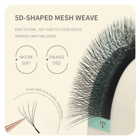 ANNAFRIS 5D Premade Fan W Shape Eyelash Extensions 0.07 D Curl 13mm Volume Self Fanning False Lashes Makeup Supplies Professional Use Lash Extension(0.07 D, 13mm)