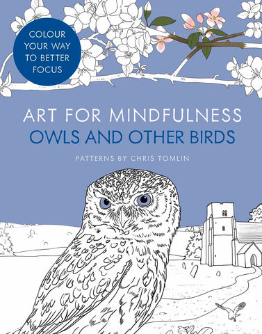 Art for Mindfulness: Owls and Other Birds