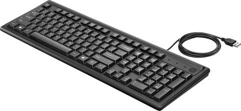 HP Keyboard 100