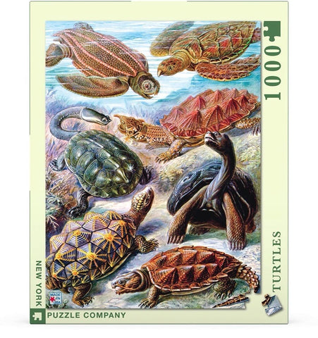 New York Puzzle Company - Vintage Images Turtles - 1000 Random Cut Jigsaw Puzzle for Adults by Ernst Haeckel