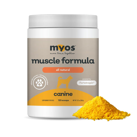 MYOS Canine Muscle Formula - Clinically Proven All-Natural Muscle Building Supplement - Reduce Muscle Loss in Aging Dogs and Improve Recovery from Injury or Surgery, 12.7 Ounce