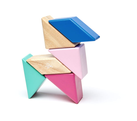 6 Piece Tegu Pocket Pouch Prism Magnetic Wooden Block Set, Blossom