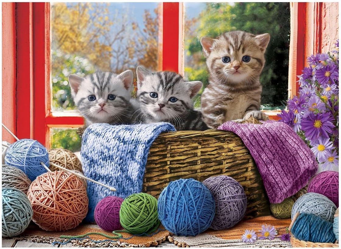 Knittin' Kittens