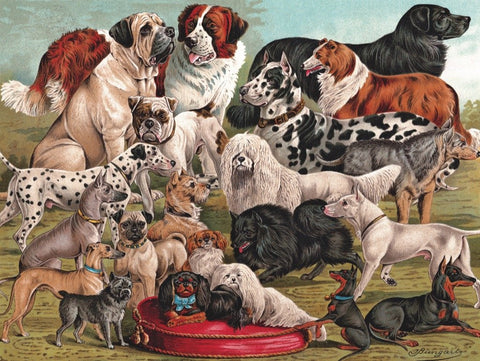 New York Puzzle Company - Vintage Images Dog Breeds - 1000 Random Cut Jigsaw Puzzle for Adults