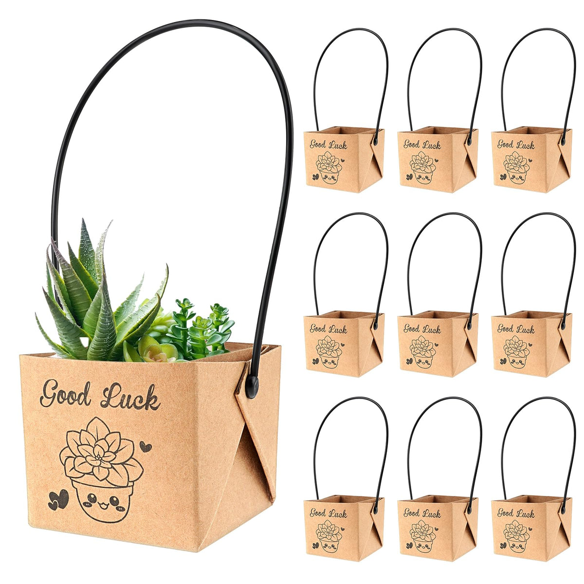 YUXIANLB Kraft Paper Succulent Gift Bags with Plastic Handle, Good Luck Succulents Wraps Waterproof Mini Succulent Pots Bulk, Brown Paper Tote Bag for Valentine's Day Fresh Flower Plant Wedding Gift