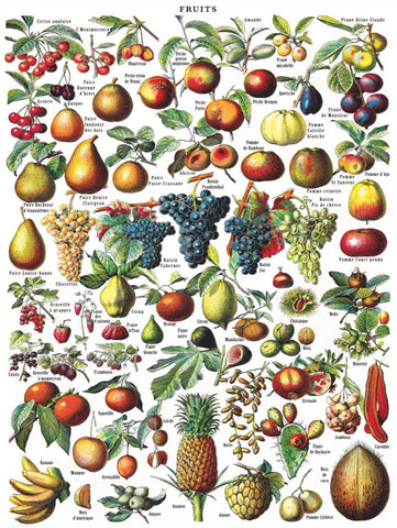 New York Puzzle Company - Vintage Images Fruits - 1000 Piece Jigsaw Puzzle for Adults by Adolphe Philip Millot