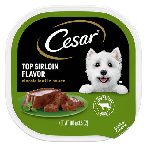 CESAR Adult Wet Dog Food Classic Loaf in Sauce Top Sirloin Flavor, 3.5 oz. Easy Peel Trays, Pack of 24