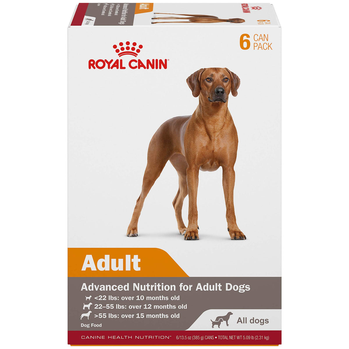 Royal Canin Canine Health Nutrition Adult In Gel Canned Dog Food, 13.5 oz can (6-pack)