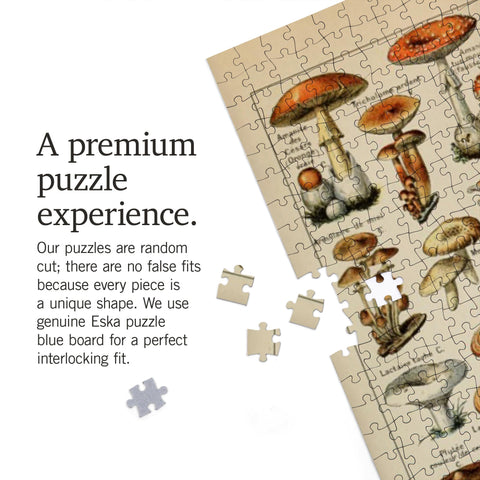 Mushrooms, C, Vintage Bookplate, Adolphe Millot Artwork (1000 Piece Puzzle, Challenging Jigsaw Puzzle for Adults, Made in USA)