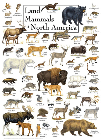 MasterPieces 1000 Piece Jigsaw Puzzle for Adults, Family, Or Kids - Land Mammals of North America - 19.25"x26.75"