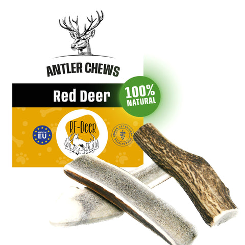 RF - DEER Deer Antler for Dogs | Natural Long Lasting Chew Treat | Enjoyment and Dental care for your dog | Available in different versions | Size S | SOFT Version | PREMIUMÃƒÆ’Ã†â€™ÃƒÂ¢Ã¢â€šÂ¬Ã…Â¡ÃƒÆ’Ã¢â‚¬Å¡Ãƒâ€šÃ‚Â | 41-70 g | 11-13 cm