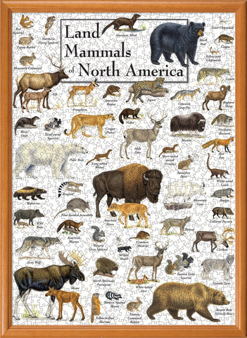 MasterPieces 1000 Piece Jigsaw Puzzle for Adults, Family, Or Kids - Land Mammals of North America - 19.25"x26.75"