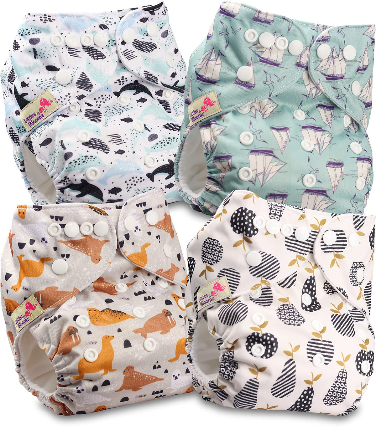 Littles and Bloomz Baby Reusable Pocket Nappy Cloth Diaper, Standard Popper, 4 Nappies, FLP2-0406