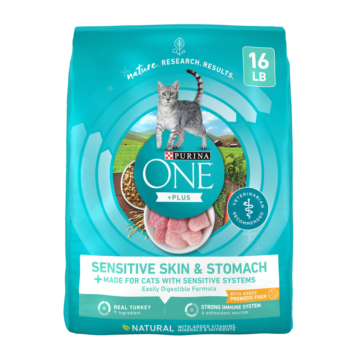 Purina ONE Sensitive Stomach, Sensitive Skin, Natural Dry Cat Food, +Plus Sensitive Skin and Stomach Formula - 16 lb. Bag