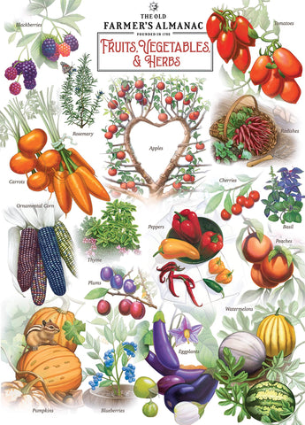 MasterPieces 1000 Piece Jigsaw Puzzle for Adults, Family, Or Kids - Farmer's Almanac; Fruits Vegetables and Berries - 19.25"x26.75"