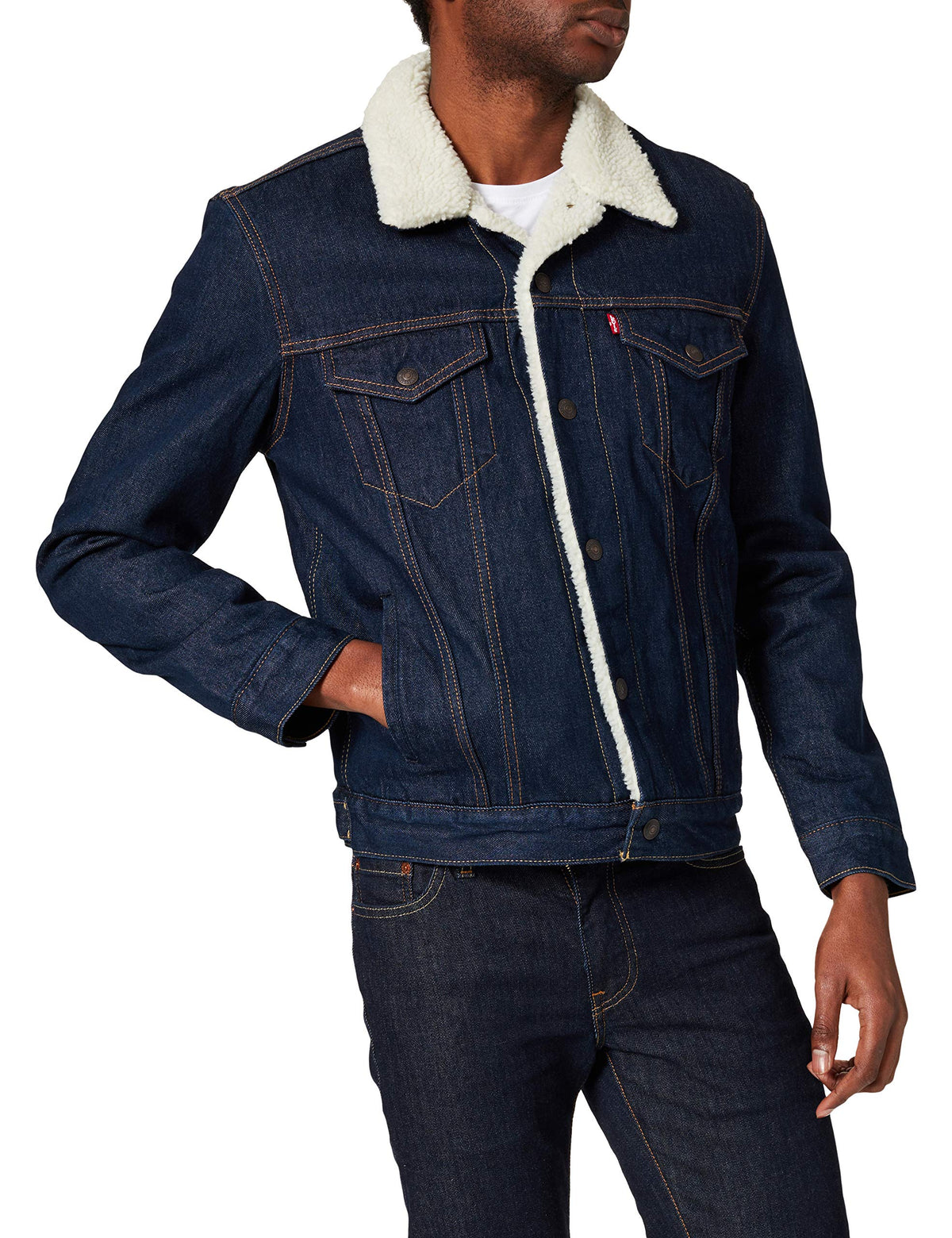 Levi's Men's Type 3 Sherpa Trucker Jacket, Rockridge, L