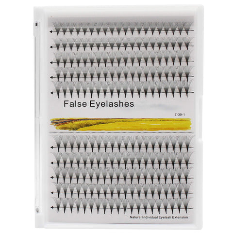 Dedila Premade Fans Eye Lashes Extensions 12D Long Stem Natural Individual False Eyelashes Mixed 8-10-12-14mm/10-12-14-16mm/12-14-16mm/12-13-15-16mm/14-15-16mm Cluster Lashes (12-14-16mm)