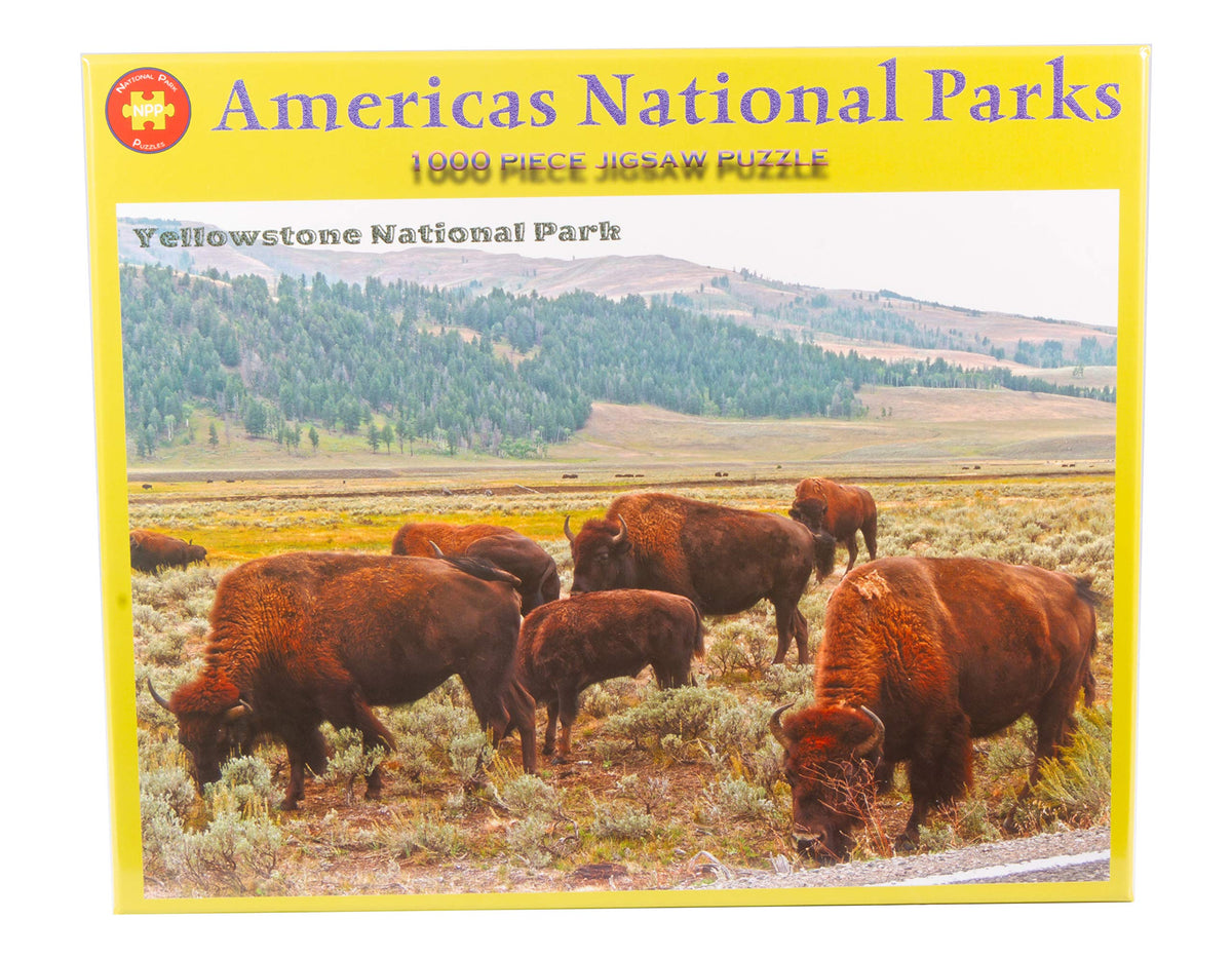 Yellowstone National Park Grazing Bison 1000 Piece Puzzles for Adults