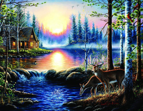 SUNSOUT INC - Total Bliss - 1000 pc Large Pieces Jigsaw Puzzle by Artist: Chuck Black - Finished Size 27" x 35" - MPN# 55104